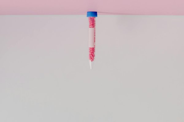 Découvrez le superaliment baobab : un trésor naturel à goûter !